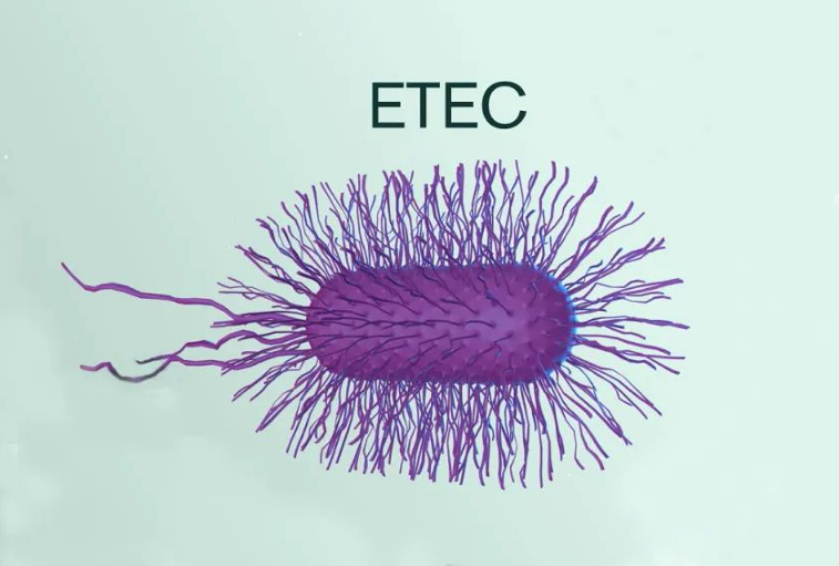 Alt image